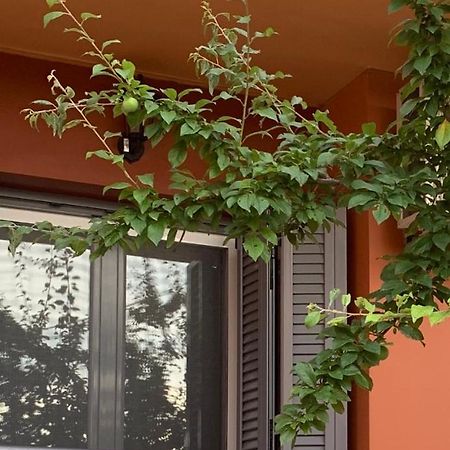 Lefkas Apartment Kalligoni Exterior foto